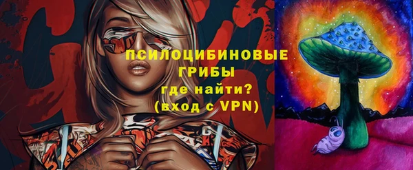 стафф Протвино